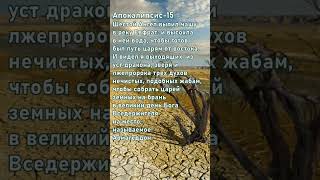 Апокалипсис-15. Чаши гнева #последние_дни