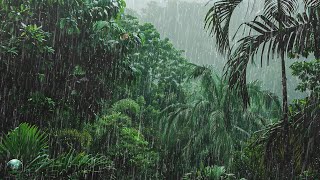 Elimina el Estrés con Lluvia Relajante - Lluvia para Dormir, Cura, Calma y Restaura la Paz Interior