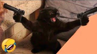 Try Not To Laugh Dogs And Cats 😁 - Best Funniest Animals Video 2024 - Part 72