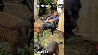 JONHA VILLAGE MARKET JHARKHAND! #shortsvideo #villagemarket #villagegoat