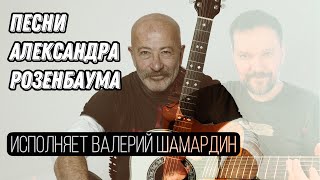 Песни Александра Розенбаума (Исп. В.Шамардин) Гитара Maton Valery Shamardin Custom