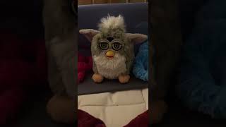 Furby does the gritty