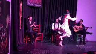 Flamenco Dance : South Spain