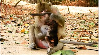 BIG MISTAKE...MISTAKE...NEWBORN BABY MONKEY THONA DEEP SCARE AND SADNESS DUE TO NASTY MUM TARA.