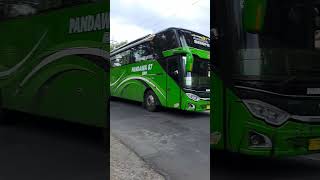 Bus Pandawa 87 livery Hijau | Selamat datang para perantau #trukoleng #basuri