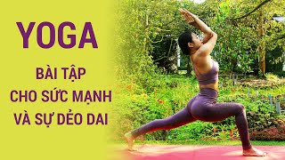 30 phút YOGA buổi sáng cho sức mạnh và sự dẻo dai | Tập YOGA giữa vườn sầu riêng