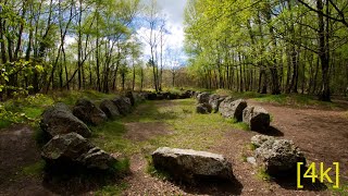 [4k] Brocéliande and its celitc legend + Bonus Paimpont part2