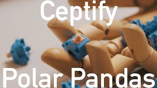 Ceptify「Polar Pandas」