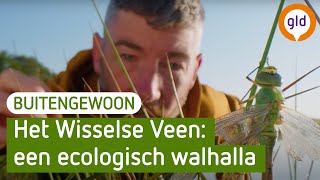 BuitenGewoon - Wisselse Veen