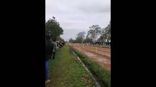 Gess Romance Ganador en el Hipódromo Santo Tomás de Paraguari