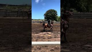 Hawaii’s Po’o Wai U action packed Rodeo event only seen in Hawaii