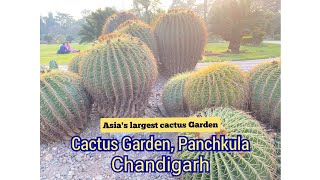 Cactus Garden, Panchkula, Chandigarh