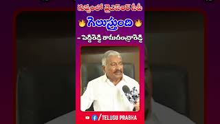 కుప్పంలో వైఎస్ఆర్ సీపీ గెలుస్తుంది 🔥- పెద్దిరెడ్డి రామచంద్రారెడ్డి | Telugu Prabha