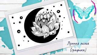 Рисуем лунную лилию (графика)