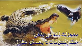 معجزات الله في بعض خلقه( معلومات لا يصدقها عقل)