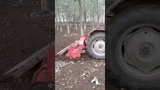 Ford 3600 on MASCHIO rotavator जीतू प्रधान गांव खाईखेडी #trending #farming #videos