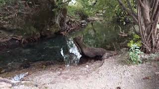 Lisine Hydro Complex Walking Tour (Waterfall Big Buk) 10