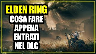 Cosa Fare Appena Entrati nel DLC di Elden Ring Shadow of the Erdtree Guida