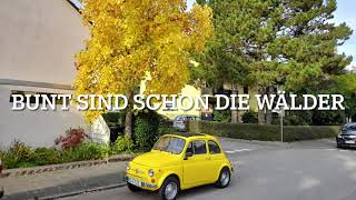 Bunt sind schon die Wälder - Herbstlied / Volkslied über den Herbst / GERMAN FOLK SONG ABOUT AUTUMN