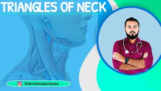 Triangles of neck |PART 2|