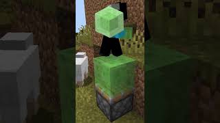 Dit Is SUPER Handig In MINECRAFT! #shorts #minecraft #trick