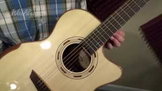 Washburn WCG25SCE Demo