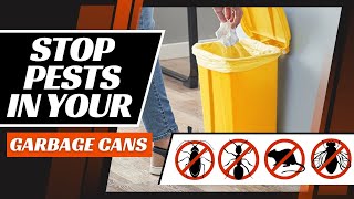 How to Pest-Proof Your Garbage Cans (Easy Ways to Keep Pests Away Forever)