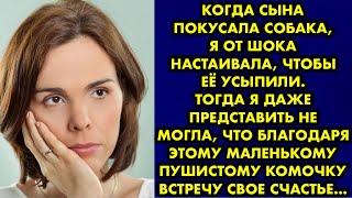 Когда сына покусала собака, я от шока настаивала чтобы её усыпили. Тогда я даже представить не могла