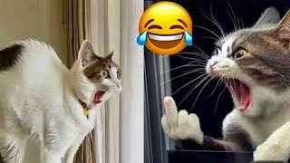 Funniest Animals 😂 New Funny Cats and Dogs Videos 😹🐶 Part 5