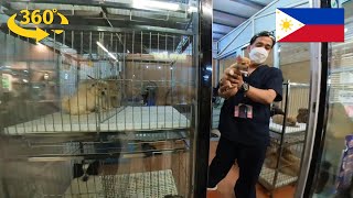 360 Tour of Tiendesitas - The Center of Pet Shops, Cats and Dogs in Manila