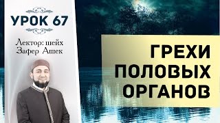 Урок 67. Грехи половых органов - шейх Зафер Ашек