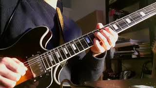 Steely Dan - Third World Man (Larry Carlton Guitar Solo Cover)