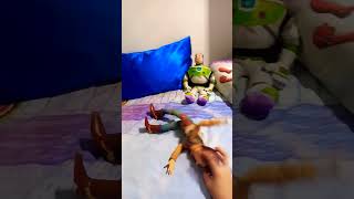 silahsa kaç! yumruksa geeel!! -woody #shortvideo