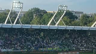 Radość kibiców Puszczy po golu na 1:0 | Puszcza Niepołomice - Legia Warszawa