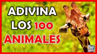 Adivina los "100 ANIMALES" Test/Trivial/Quiz