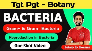 Structure Of Bacteria Cell Wall | Gram Positive And Gram Negative Bacteria |Reproduction in Bacteria