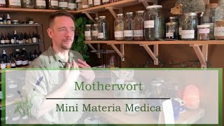 Motherwort