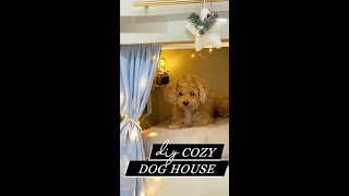 Designing a Dog House in my Living Room! How To | Upcycle