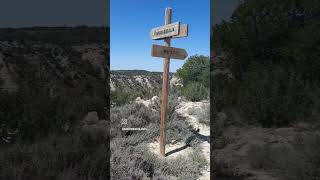 🔅 Barranco de la Estiva (barranco del Bujal) en la Sierra de Lanaja, Los Monegros #bichosmochileros