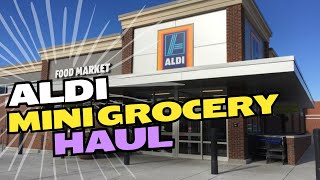 Aldi mini grocery haul | Giving them another try!