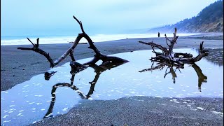 Crescent City To Arcata Along The 101: Patrick's Point & Agate Beach, Northern CA, December 30, 2020