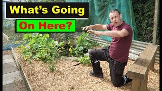 April Garden Tour - What's been going on?