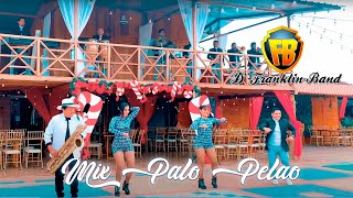 D´FRANKLIN BAND - MIX PALO PELAO (Video Official)