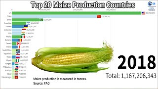 Top 20 Maize Production Countries