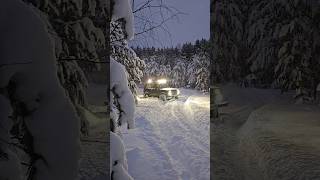 Покатушки в лесу #2023 #лес #природа #forest #snow #снег #nature #4x4 #niva #нива #offroad