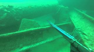 צלילה בצינור רידינג spearfishing