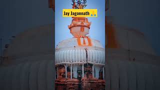 Jay Jagannath 🙏 ପବିତ୍ର ରଥ ଯାତ୍ରା ର ହାର୍ଦିକ ଶୁଭେଛା #shortsfeed #shorts #purijagannath #rathyatra