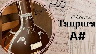 Tanpura A# | Tanpura A Sharp | Best scale for Female Riyaz | original sound | Acoustic Tanpura