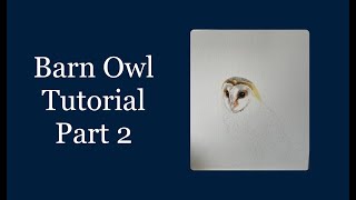 Barn Owl Part 2 | Colour pencil | Gemma Dilks Art | Artist Tutorial