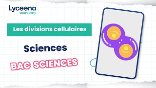 Bac Sciences | SVT | Les divisions cellulaires